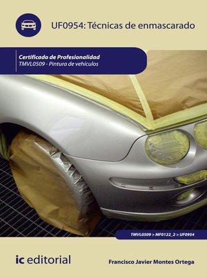 cover image of Técnicas de enmascarado. TMVL0509